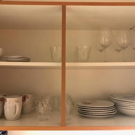 Apartmans Vlnena 布尔诺